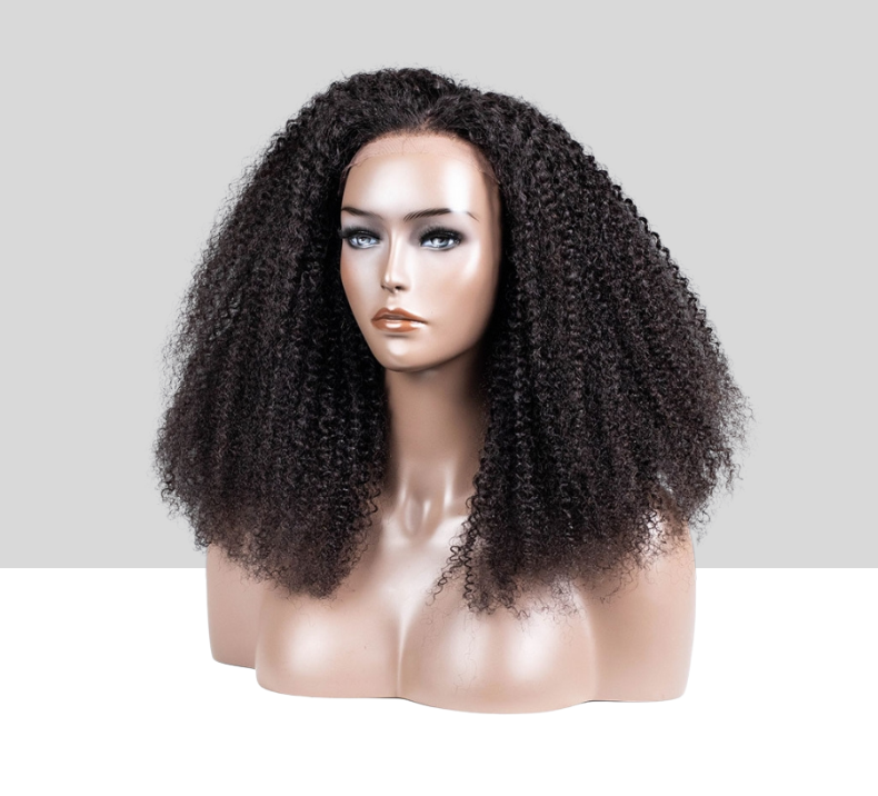 Curly Wig Natural Color